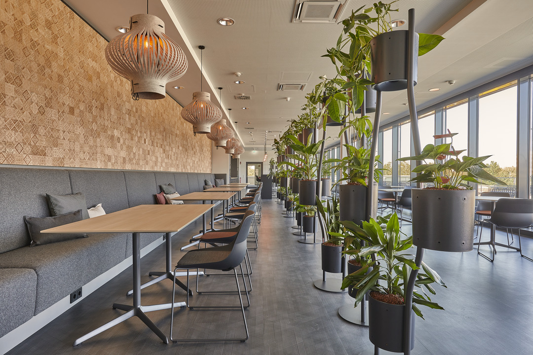 Brunner_Graef_Stadler_break-cronalight-paravert